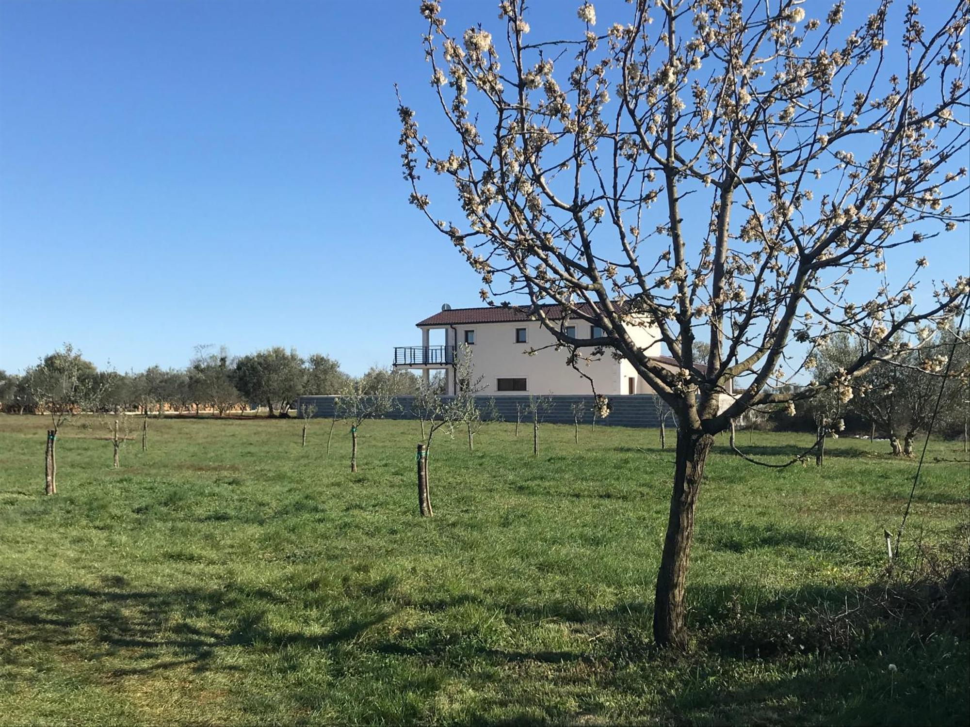 Villa Lydia Marcana Екстер'єр фото