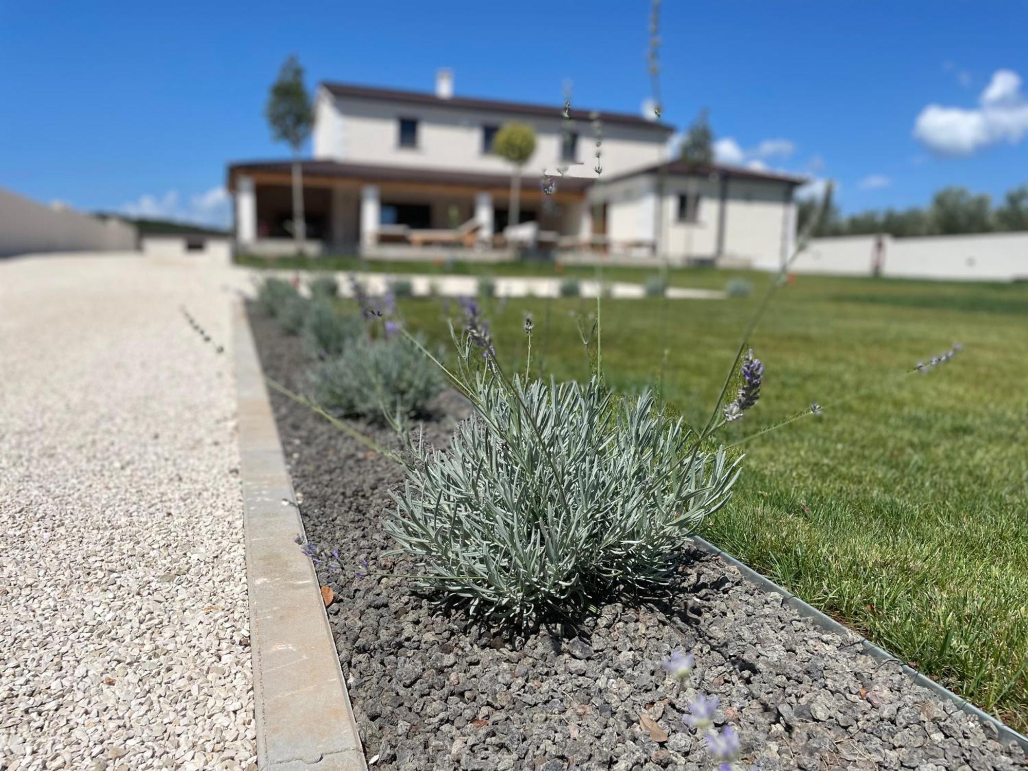 Villa Lydia Marcana Екстер'єр фото